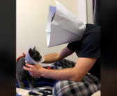 エリザベスカラーを嫌がる愛猫を何とかして安心させようとした男性。人間サイズのカラーを作って、自ら装着!