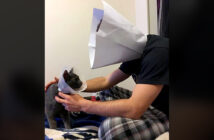 エリザベスカラーを装着した飼い主さん