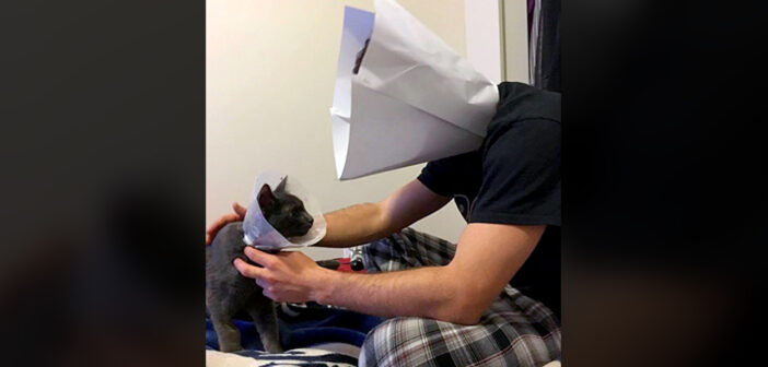 エリザベスカラーを装着した飼い主さん