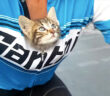 サイクリング中に出会った子猫