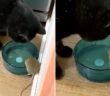 仲良くなった猫とネズミ