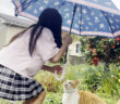 猫に傘をさす女の子