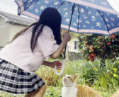 雨降る庭で庭猫に傘を差し出す女の子。猫はとっても嬉しかったようで、「ありがとう」の気持ちを伝えてきた♡