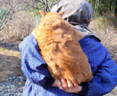 大好きなおばあちゃんにおんぶされながら山を登る猫さん。その姿がとっても幸せそうで思わず心が和む (*´ｪ｀*)♡