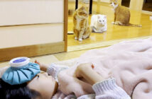 発熱で寝込んだ女の子を心配する猫達