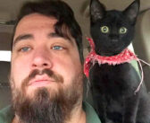バンダナを車に踏まれて動けなくなっていた子猫。助けてくれたのが嬉しくて、優しい男性に感謝の気持ちを伝える (*´ェ`*)