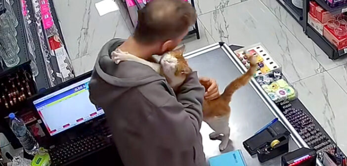 店主にハグをする猫