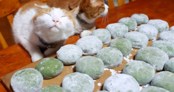 おばあちゃんとヨモギ摘みをして、草餅作りを応援する猫達。その懐かしさを感じる光景に思わず心が和む (*´ェ`*) たくさんの草餅と猫