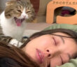 お母さんを起こす猫