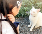 女の子の言葉を理解して、たくさんのお喋りする庭子猫。楽しそうに会話するふたりの姿にホッコリ (*´ω`*)♡