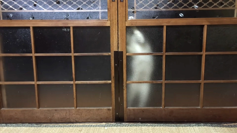 扉をこじ開けようとする猫