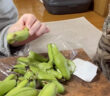 そら豆が気になる猫