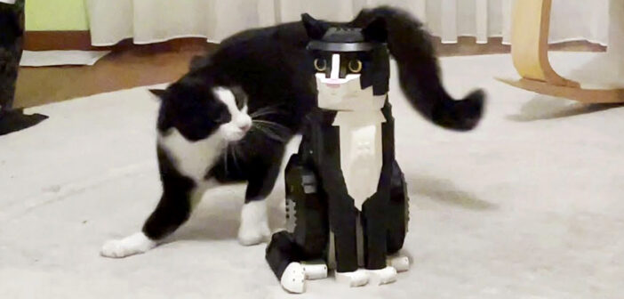 レゴ猫に戦いを挑むハチワレ猫