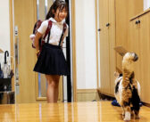家の中で雨宿りしていた庭猫が、学校から帰ってきた大好きな女の子を発見！ その瞬間の嬉しそうな反応が可愛すぎた♡
