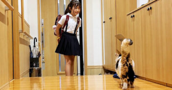 家の中で雨宿りしていた庭猫が、学校から帰ってきた大好きな女の子を発見! その瞬間の嬉しそうな反応が可愛すぎた♡ 女の子をお出迎えする庭猫