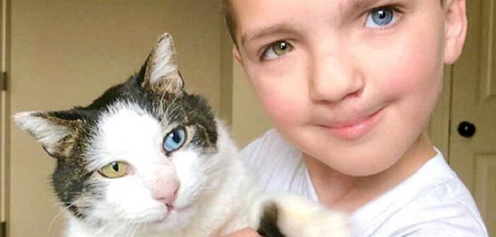 男の子と猫
