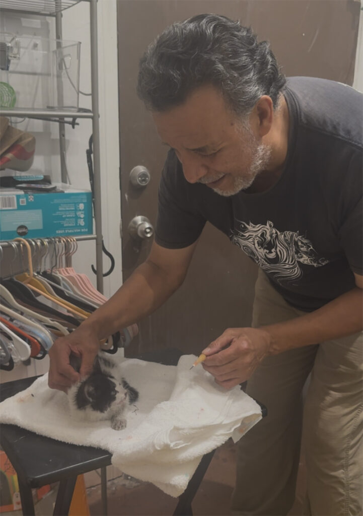 保護された子猫