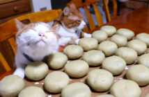 おばあちゃんと栗まんじゅうを作る猫達