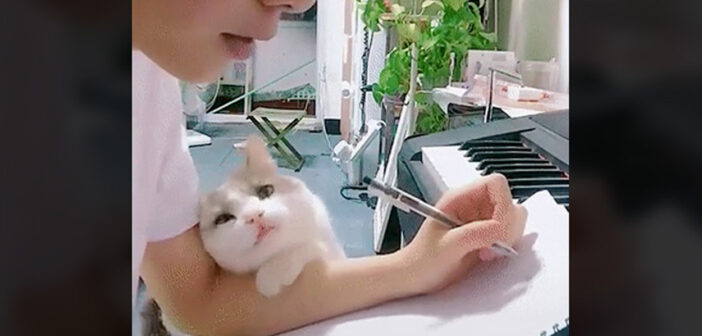 「ねぇ、まだ終わらないの？」と作業を続ける飼い主さんを覗き込んでくる猫。その愛くるしい姿はまるで恋人でした♡